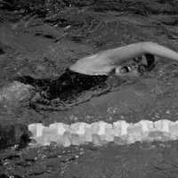 <p>Katelyn Browne races in her freestyle stroke race.</p>