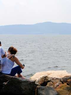 New York State Fish, Wildlife App Surpasses 100,000 Downloads
