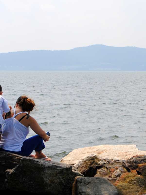 New York State Fish, Wildlife App Surpasses 100,000 Downloads