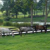 <p>Grand Central Farm, for sale in North Salem, has ample room for horses and horse-related activities.</p>