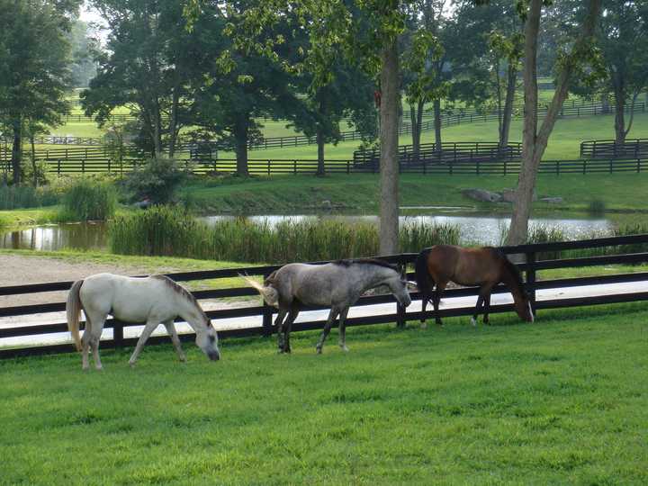 Grand Central Farm, for sale in North Salem, has ample room for horses and horse-related activities.