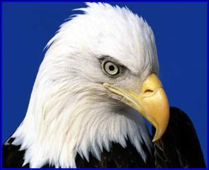 Teatown&#x27;s EagleFest 2013 has been rescheduled for 9 a.m. to 4 p.m., Sunday, Feb. 10. 