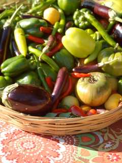 Kent Library Talk Teaches Vegetable Garden Planning