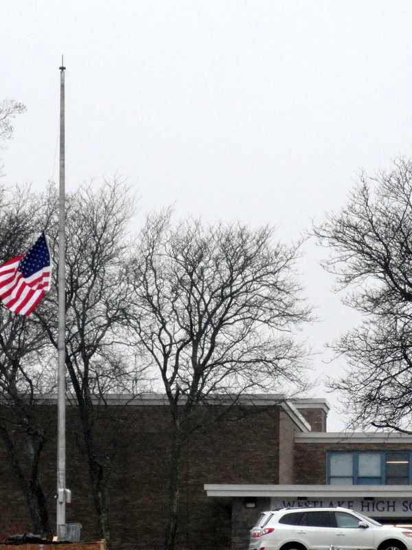 Survey Says Ceilings, Roadways Need Work At Mount Pleasant Schools