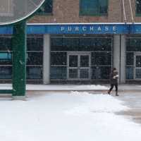 <p>A lone student walks through the mall at SUNY Purchase. Classes were canceled for the day due to Winter Storm Nemo. </p>