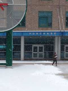 Family Of Late New Rochelle Journalist Sets Up Fund At SUNY Purchase