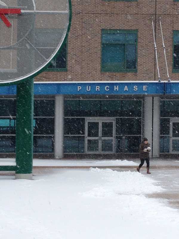 Family Of Late New Rochelle Journalist Sets Up Fund At SUNY Purchase