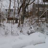 <p>A nor&#x27;easter blanketed Westchester County in several inches of snow early Saturday.</p>