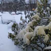 <p>A nor&#x27;easter blanketed Westchester County in several inches of snow early Saturday.</p>