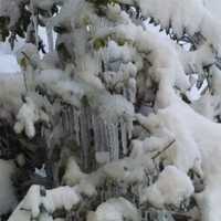 <p>A nor&#x27;easter blanketed Westchester County in several inches of snow early Saturday.</p>