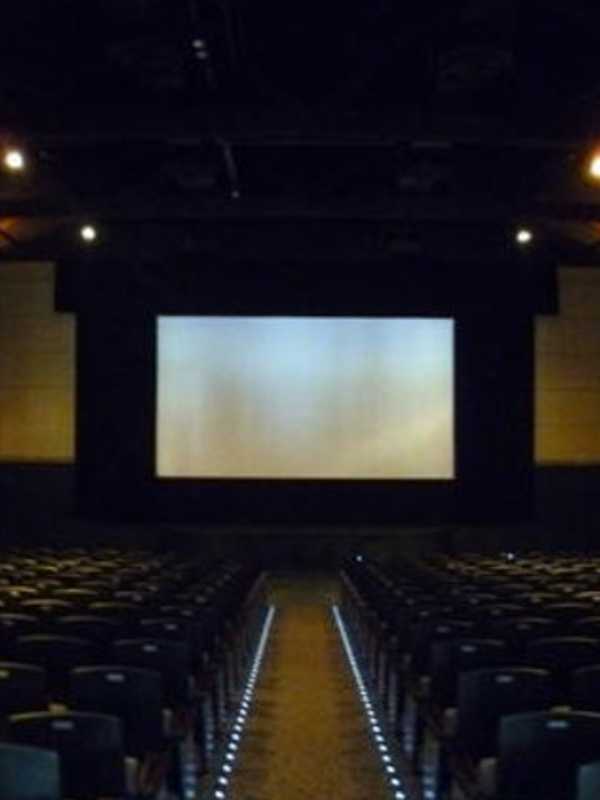 Pelham Picture House Screens 'Forbidden Films'