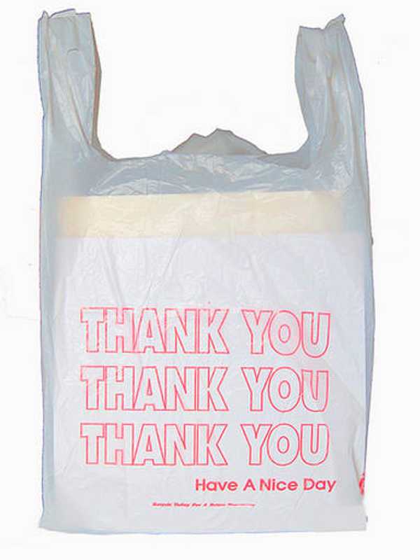 Petition Prompts New Castle Officials To Propose Banning Plastic Bags