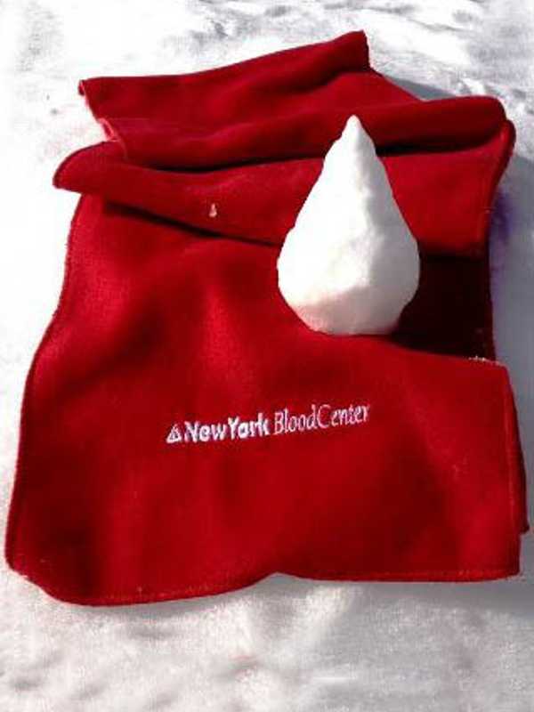 Blood Drive Set At North Rockland High School In Thiells