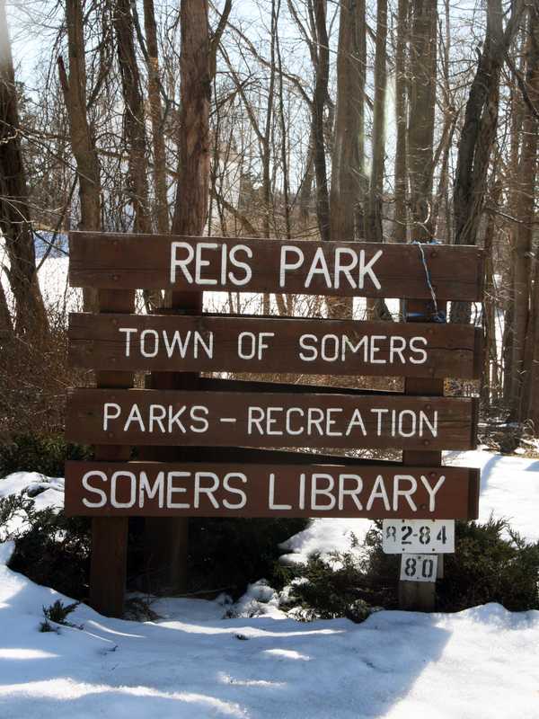 Somers' Reis Park Getting Party For 50th Birthday