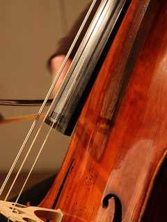 Thirty-Two Bronxville Students Selected for All-County Ensembles