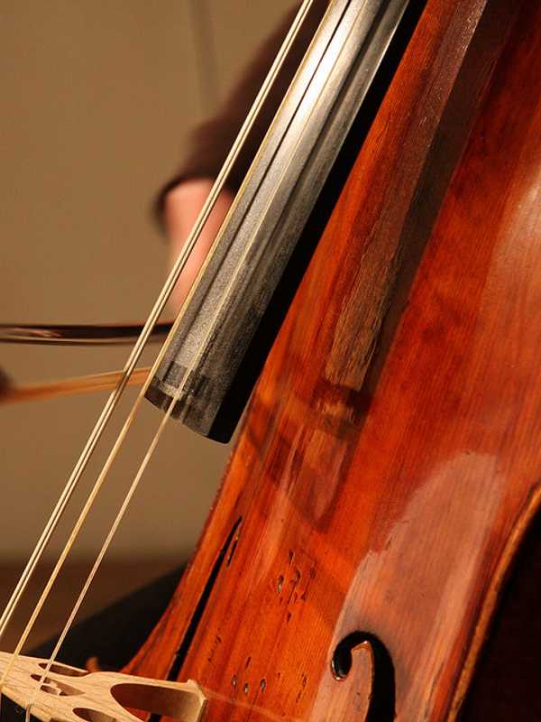 Thirty-Two Bronxville Students Selected for All-County Ensembles