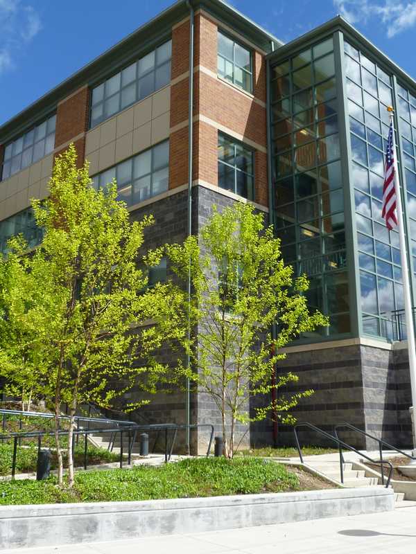 Three Westchester School Districts Report Chronic Absenteeism