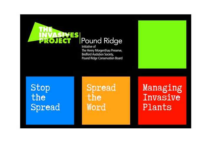 The Invasives Project forum takes place Sunday at Pound Ridge&#x27;s Hiram Hall Library.