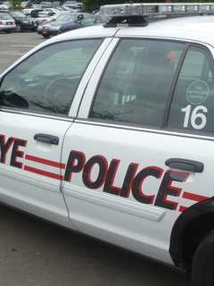 Woman's Body Found Floating In Playland Lake
