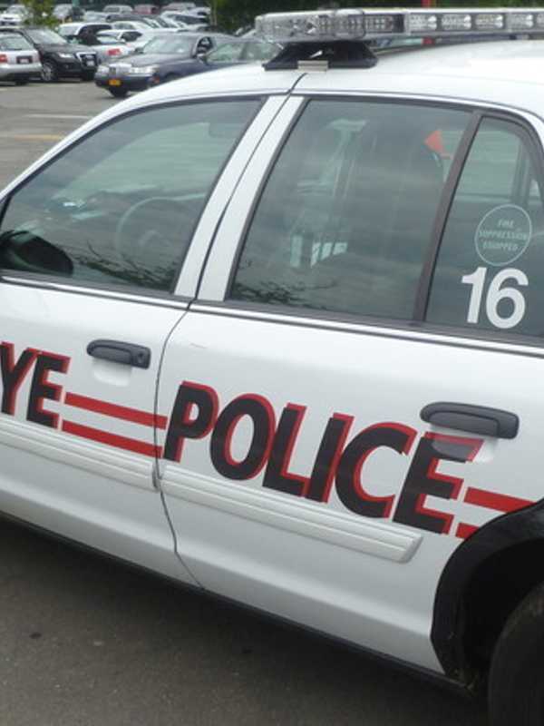 Woman's Body Found Floating In Playland Lake