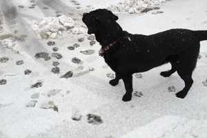 Send Us Your Snow Photos, Rye