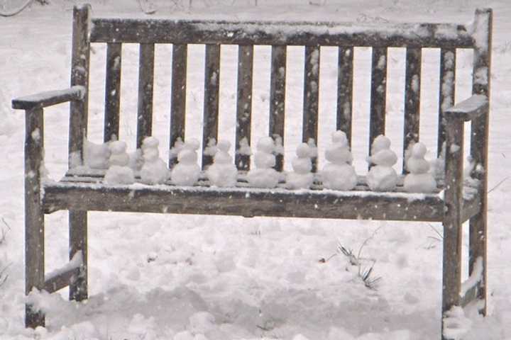 Darien resident Nina Rodriguez, 12, built this row of tiny snowmen with her Aunt Andy during the Feburary storm.	 