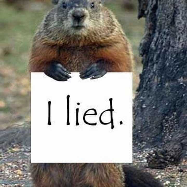 Punxsutawney Phil predicted six more weeks of spring this year.