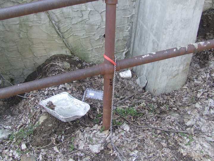 The walkway between Somersville Road and Edwards Place in Yonkers where a 9-month-old puppy was found. The dog was euthanized Thursday due to life-threatening injuries and excessive blood loss. 