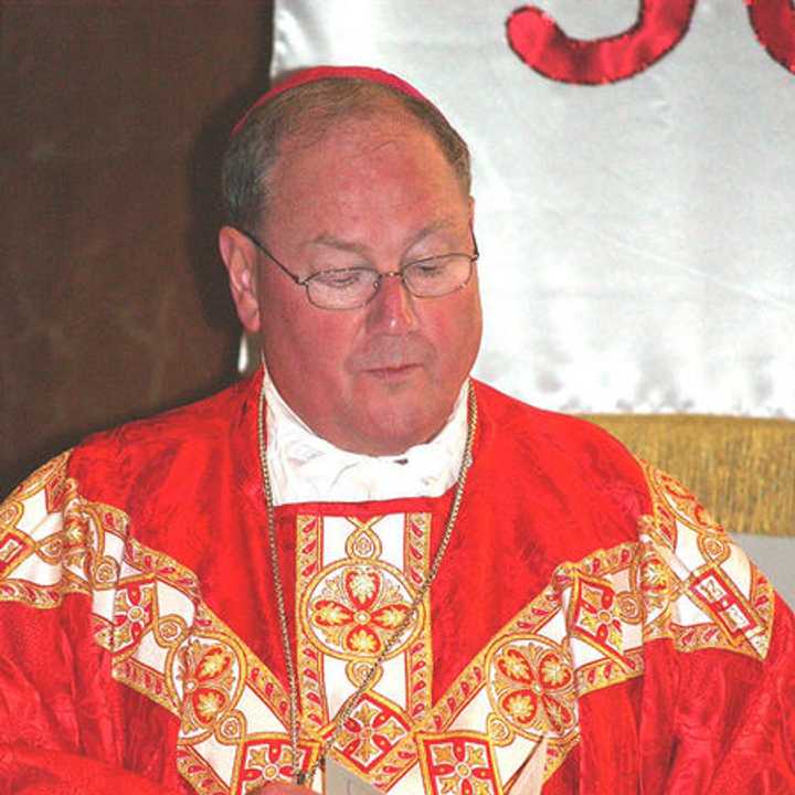 Cardinal Timothy Dolan, head of the Archdiocese of New York, will appear on ABC&#x27;s &quot;This Week&quot; on Easter morning. 