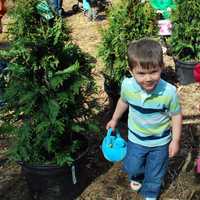 <p>Kids check every corner at the Easter egg hunt at Hilltop Farms in Croton on Saturday.</p>