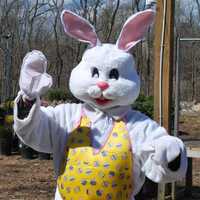 <p>The Easter Bunny hosts an egg hunt as dozens of families turn out at Hilltop Farms in Croton on Saturday afternoon.</p>