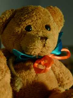 Ridgefield Park Library Organizes 'Teddy Bear Jamboree'
