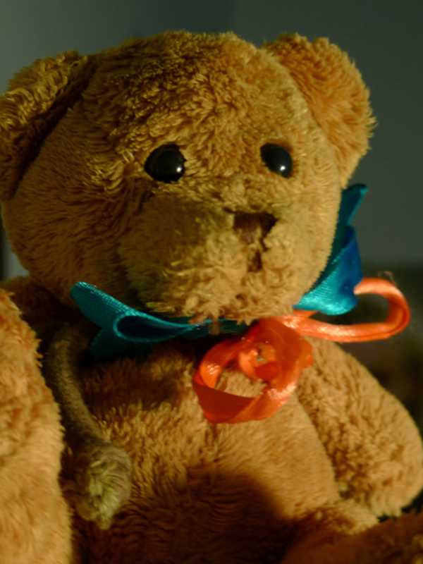 Ridgefield Park Library Organizes 'Teddy Bear Jamboree'