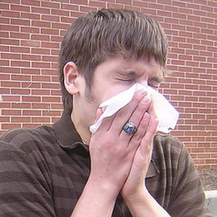 The greater Bridgeport area and Fairfield County are one of the &quot;allergy capitals&quot; of the U.S., according to a new study.