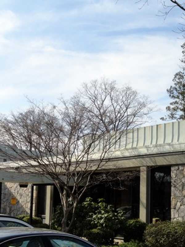 Mount Pleasant Library In Pleasantville Stages Comedy 'Becky Shaw'