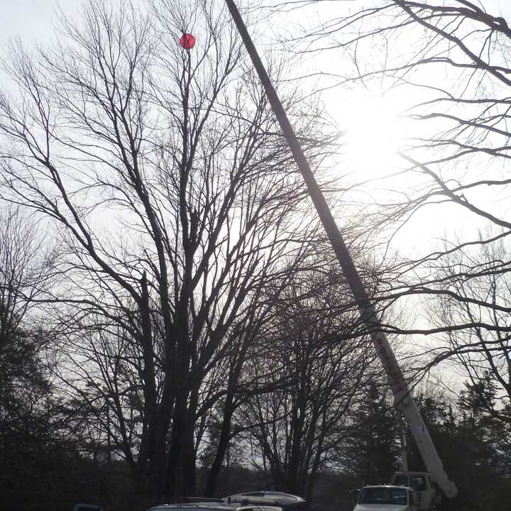 In January Verizon Wireless set up a pair of red balloons in New Canaan to test a potential cell phone tower location. 