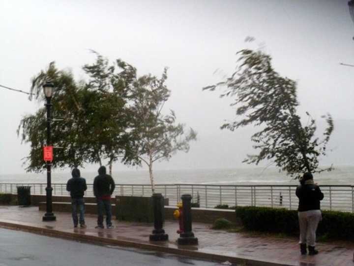 Trees blow in the wind during as Hurricane Sandy approached in October. Yonkers was awarded $2 million from FEMA this week to assist in cleanup and recovery costs. 