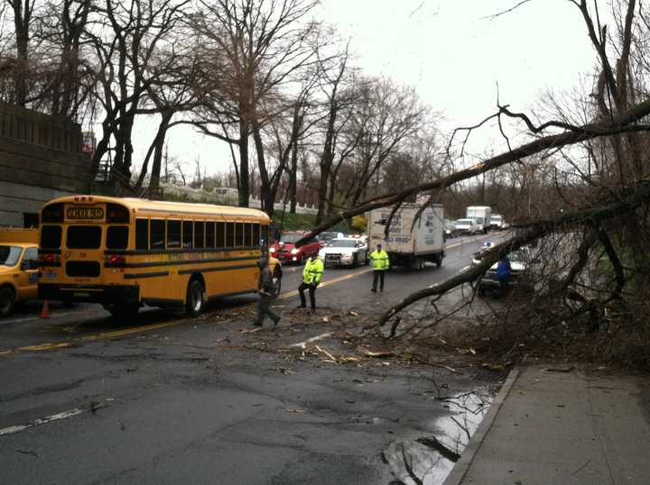 A fallen tree has slowed mid-day traffic along Yonkers Avenue. 