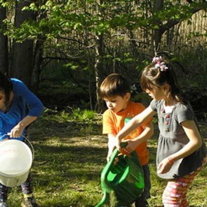 Children will help plant seedlings in Eastchester on Friday.