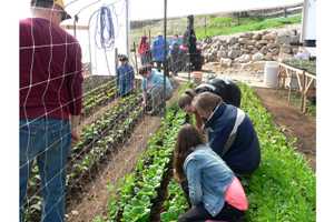 Maywood Library, Teaneck Conservancy Partner For Earth Day Event
