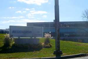 Westchester Biotech Firm Regeneron Sponsors Young Scientists Contest