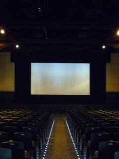 Pelham Picture House Showing  'They Will Have to Kill Us First'