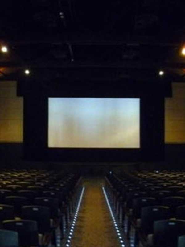 Pelham Picture House Showing  'They Will Have to Kill Us First'