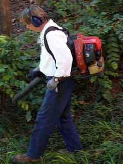 Seasonal Ban On Leaf Blowers In Rye Starts Wednesday