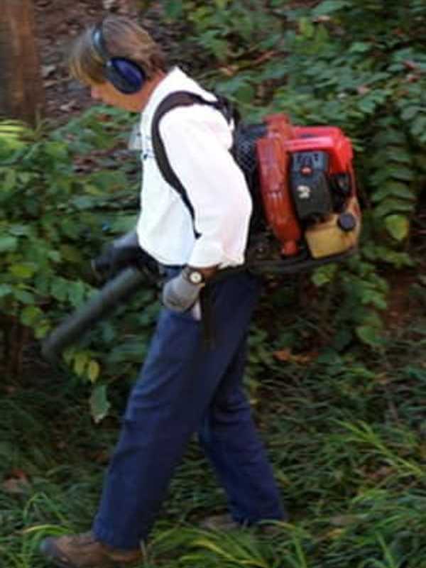 Seasonal Ban On Leaf Blowers In Rye Starts Wednesday