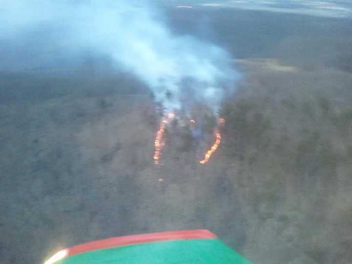 This brush fire on Pine Mountain in Ridgefield burned more than 20 acres of forest in early April.