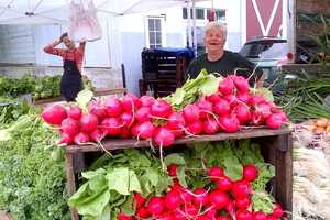 Bronxville Farmers’ Market Returns
