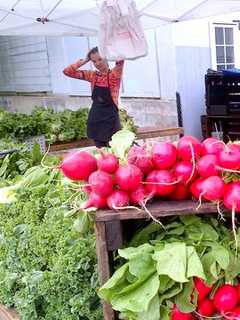 Bronxville Farmers’ Market Returns Saturday