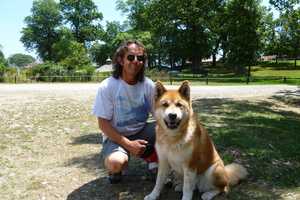 Rye Police Urge Owners To Leash Dogs After Bites