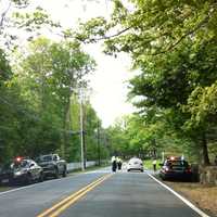 <p>Greenwich police officers line up in the middle of North Street on Wednesday morning, with police cars lining the road at the entrance to the Greenwich Polo Club. </p>